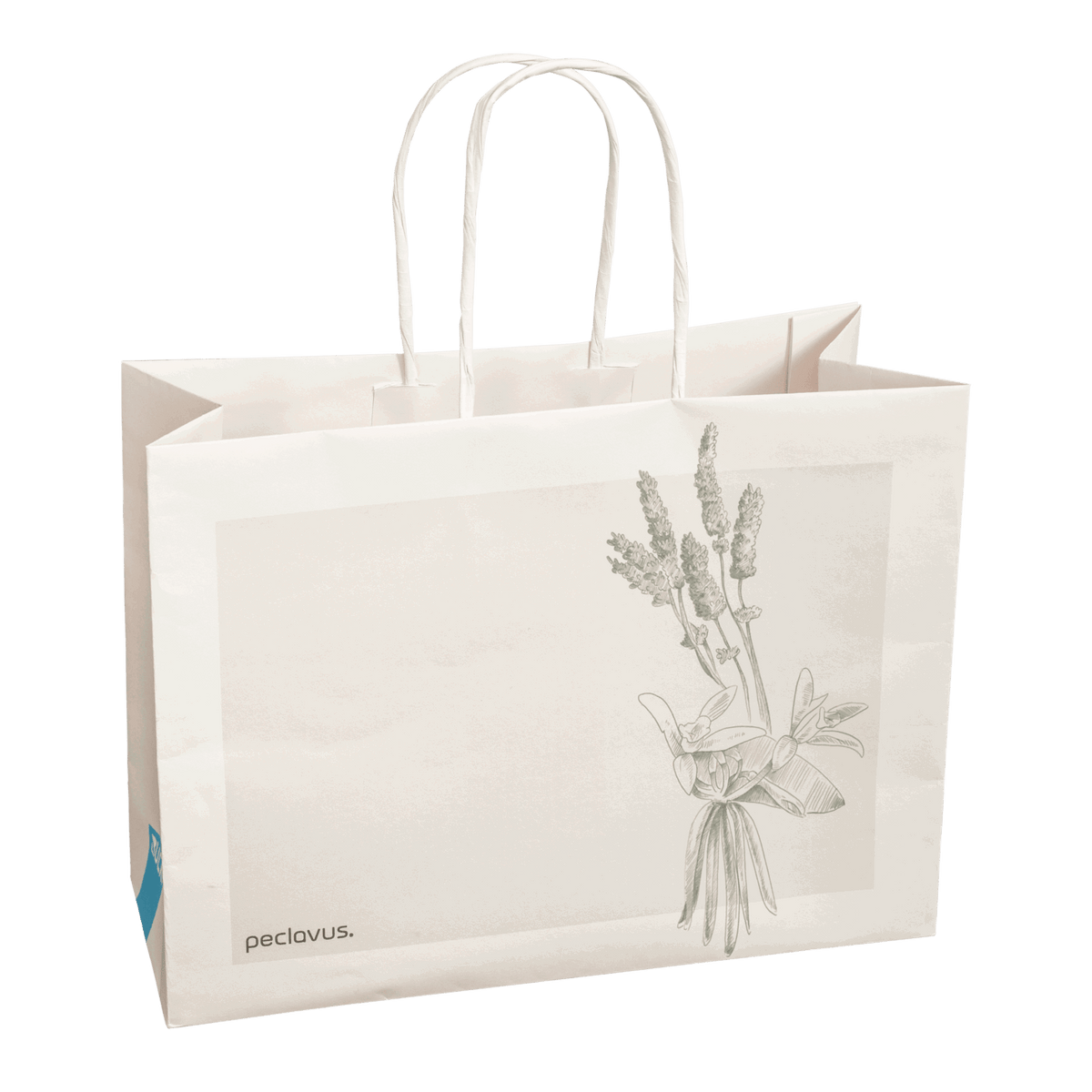 Peclavus Geschenktüte, 26/11/19 cm 10 Stück