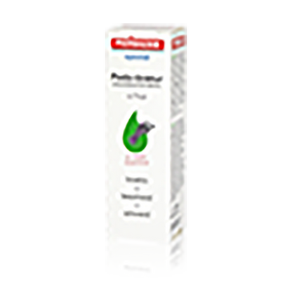 Pedibaehr Podo-tinktur mit Thuja 30ml