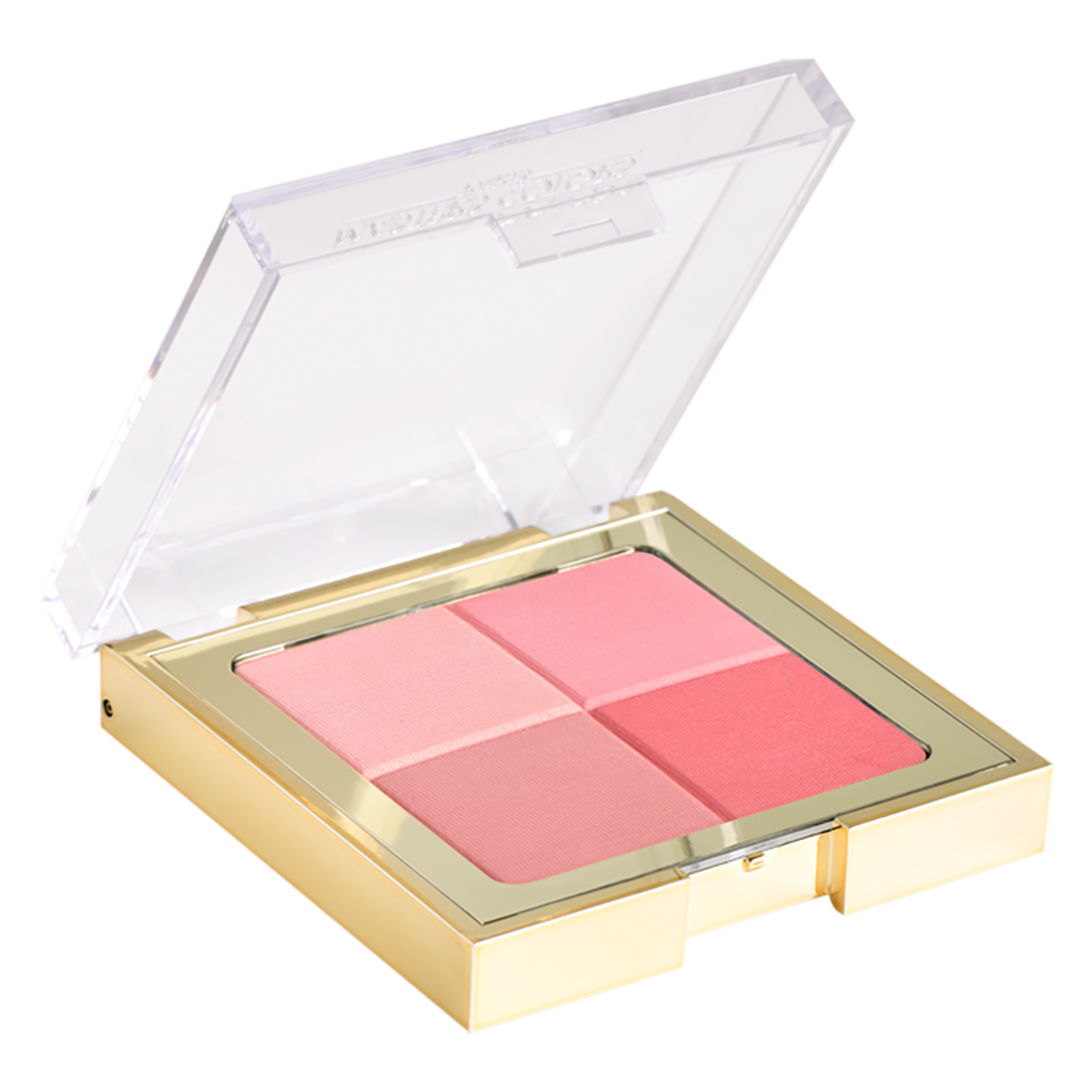 Blush all Seasons Nr. 11 Rose