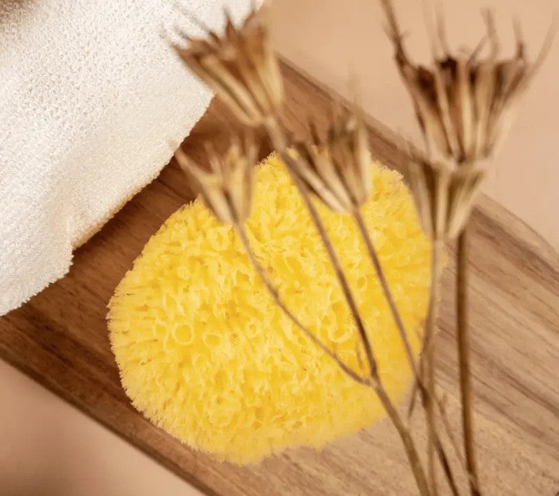 Peclavus wellness Naturschwamm