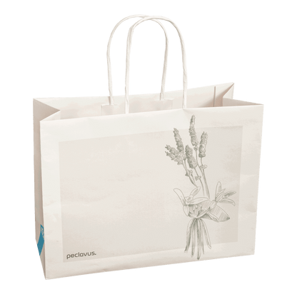 Peclavus Geschenktüte, 26/11/19 cm 10 Stück